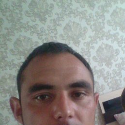 �������, �����������, 41 ���