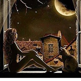 ���� Irma, ������ - ��������� 19 ������� 2017