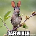 ���� ������, ��������������, 62 ���� - ��������� 16 �������� 2017 � ������ ���� ����������