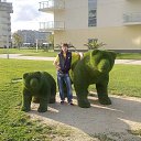 ���� ����, ������-��-����, 38 ��� - ��������� 5 ������� 2017 � ������ ���� ����������