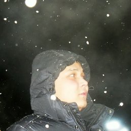 �����, ���������, 38 ���