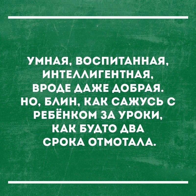     - 3  2017  17:19