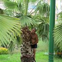  C, , 48  -  10  2017   1