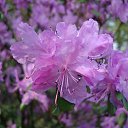 ���� �����, �����-���������, 57 ��� - ��������� 20 ���� 2017 � ������ ������ ��������