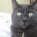 ���� Nina, ���� - ��������� 23 ������� 2017 � ������ ���� ����������