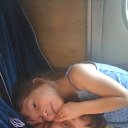 ���� ��������, ����������, 46 ��� - ��������� 14 ������� 2017 � ������ ���� ����������