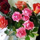 ��� ���� �� ������� ���� ����������