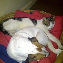 ���� Gareth, ����, 39 ��� - ��������� 4 �������� 2017 � ������ ���� ����������