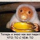 ���� ������, ������ - ��������� 31 ������� 2017 � ������ �������