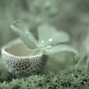 ���� ����, ������������, 55 ��� - ��������� 2 ������ 2017 � ������ ������ ��������