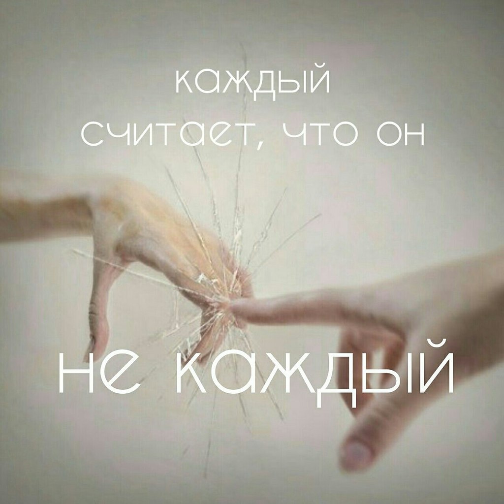  | ,  - 9  2017  06:29