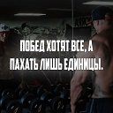 ���� �������, ������-��-����, 48 ��� - ��������� 20 �������� 2017 � ������ ���� ����������