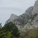 ���� ���, �����������, 51 ��� - ��������� 16 ������ 2017 � ������ ���� ����������