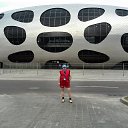 ���� ������, �����, 51 ��� - ��������� 23 ��� 2017 � ������ ���� ����������