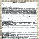 ���� ������, ������ - ��������� 28 ������� 2017 � ������ ����������߻