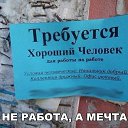 ���� �����, ������, 50 ��� - ��������� 8 �������� 2017 � ������ ���� ����������