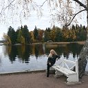 ���� ������, �����-���������, 58 ��� - ��������� 26 ������� 2017 � ������ ���� ����������