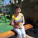 ���� ������, ������������ - ��������� 7 ������� 2017 � ������ ������