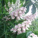 ���� S, ������ - ��������� 30 ������ 2017 � ������ ���� ����������