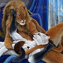  Din, , 66  -  21  2017