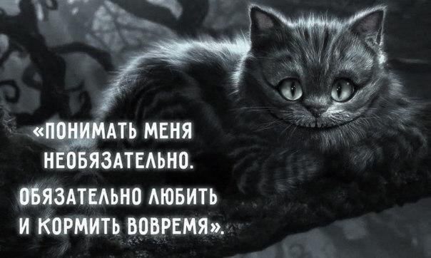 28 мудростей Чеширского Кота.1) Серьезное отношение к чему бы то ни было в этом мире является ...