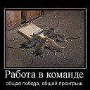 ���� // I., ����� - ��������� 11 ������� 2017 � ������ ���� ����������