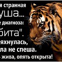 ���� �����, �������� - ��������� 7 ������ 2017