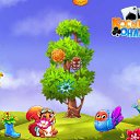 ���� ����, ����� - ��������� 26 ������� 2017 � ������ �������� �������-�������