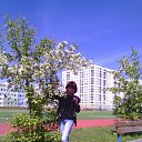 ���� ������, ������������, 53 ���� - ��������� 1 ���� 2017 � ������ ���� ����������