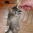 ���� ������, ������, 50 ��� - ��������� 23 ������� 2017 � ������ ���� ����������