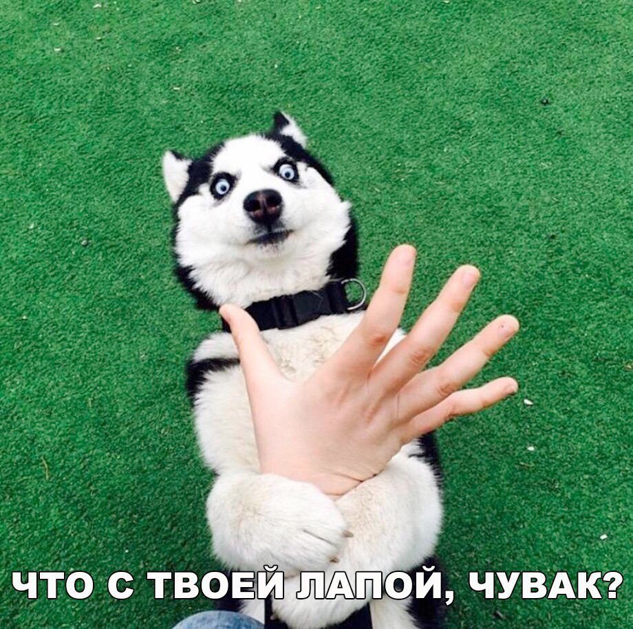 ***Victoria Viktorovna*** - 13  2017  15:17