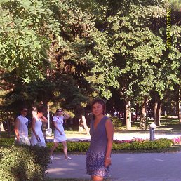 �������, ���������, 44 ����