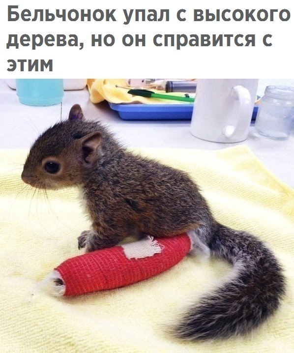 ������� - 15 ������� 2017 � 23:05