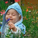 ���� �����, �������, 52 ���� - ��������� 29 �������� 2017 � ������ ���� ����������