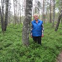 ���� �����, �����, 70 ��� - ��������� 22 ���� 2017 � ������ ���� ����������