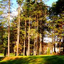 ���� ��������, ������, 77 ��� - ��������� 31 ������� 2017