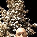 ���� ������, �����-���������, 40 ��� - ��������� 22 ��� 2017