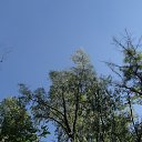 ���� Lui, ��������� - ��������� 10 ������� 2017 � ������ ���� ����������