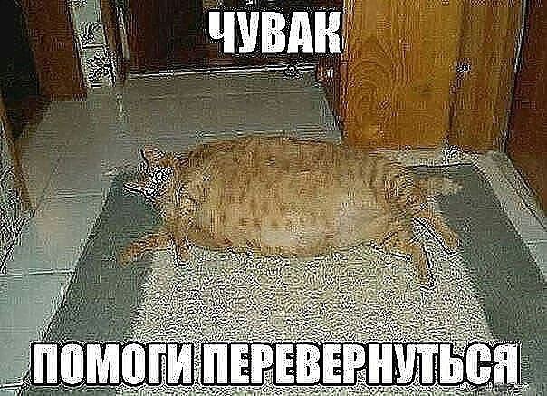  -.. )) - 2