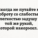 ���� ���������, ���� - ��������� 3 ���� 2017 � ������ ������ ��������