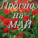 ���� ������, ���������, 55 ��� - ��������� 30 ������ 2017 � ������ ������ ��������