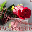 ���� ������, ��������, 46 ��� - ��������� 31 ������� 2017 � ������ ���� ����������