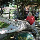 ���� �����, �������� - ��������� 26 ������� 2017 � ������ ��������. ������ 2017 �.�