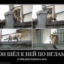  M, , 48  -  22  2017    