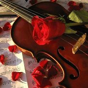 ��������, 41 ���, �����