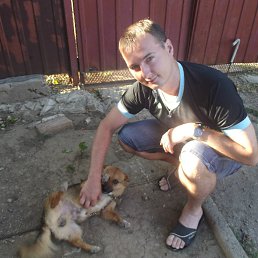 �����, ���������