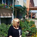 ���� ��������, ������� - ��������� 11 ���� 2017 � ������ ���� ����������