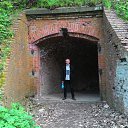 ����. �. ����������� �� ������� ���