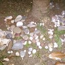 ���� �������, �����-���������, 55 ��� - ��������� 20 �������� 2017 � ������ ��� - ������������