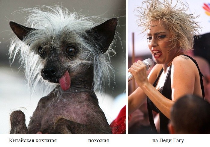  ...)))